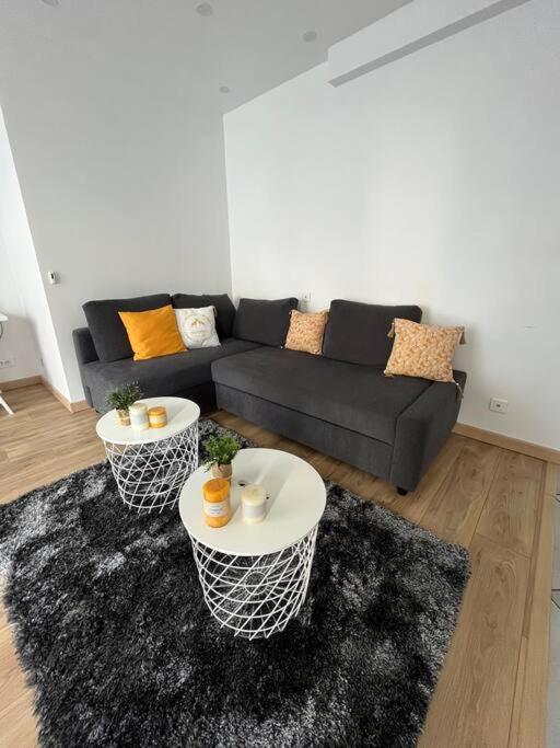 Superbe Appartement Moderne En Rez-De-Chaussee Ozoir-la-Ferrière Esterno foto