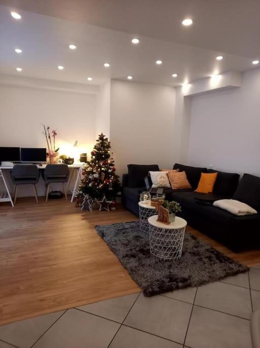 Superbe Appartement Moderne En Rez-De-Chaussee Ozoir-la-Ferrière Esterno foto